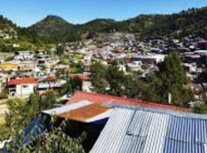 Le Lavan y Cortan el Cerebro